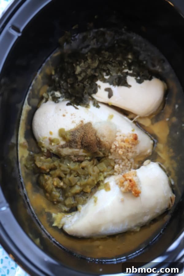 cilantro lime Chicken crockpot, green chiles, spices and broth cooking in a slow cooker.