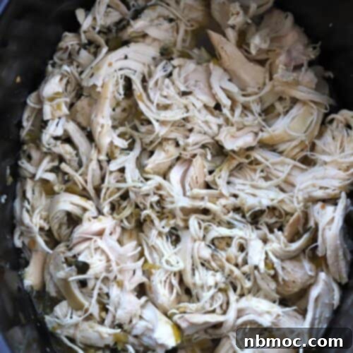 This shredded cilantro lime chicken is a moist a flavorful meat for tacos, enchiladas, or quesadillas. So delicious!
