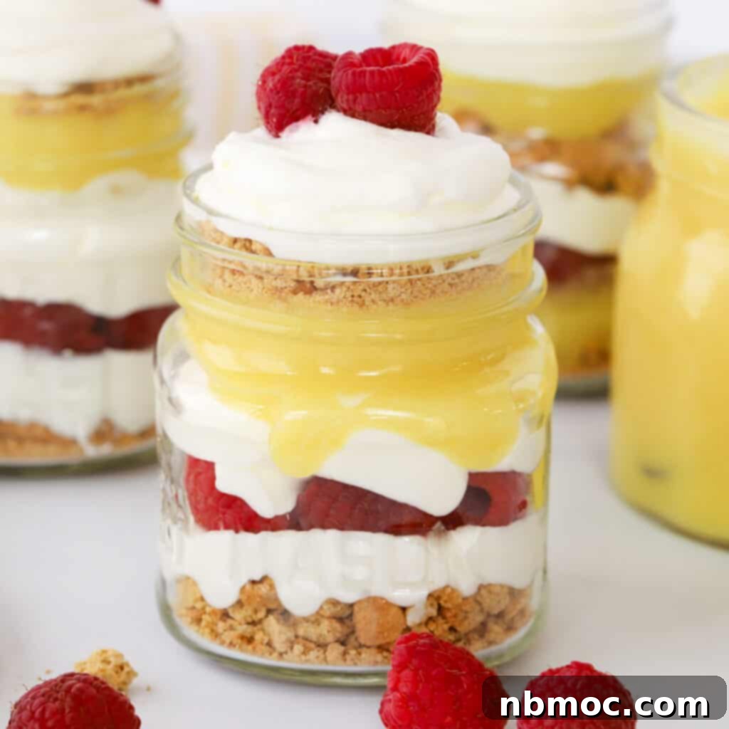 Zesty Lemon Treats 13 parfait recipe of lemon raspberry recipe, parfait raspberry and lemon dessert recipe.