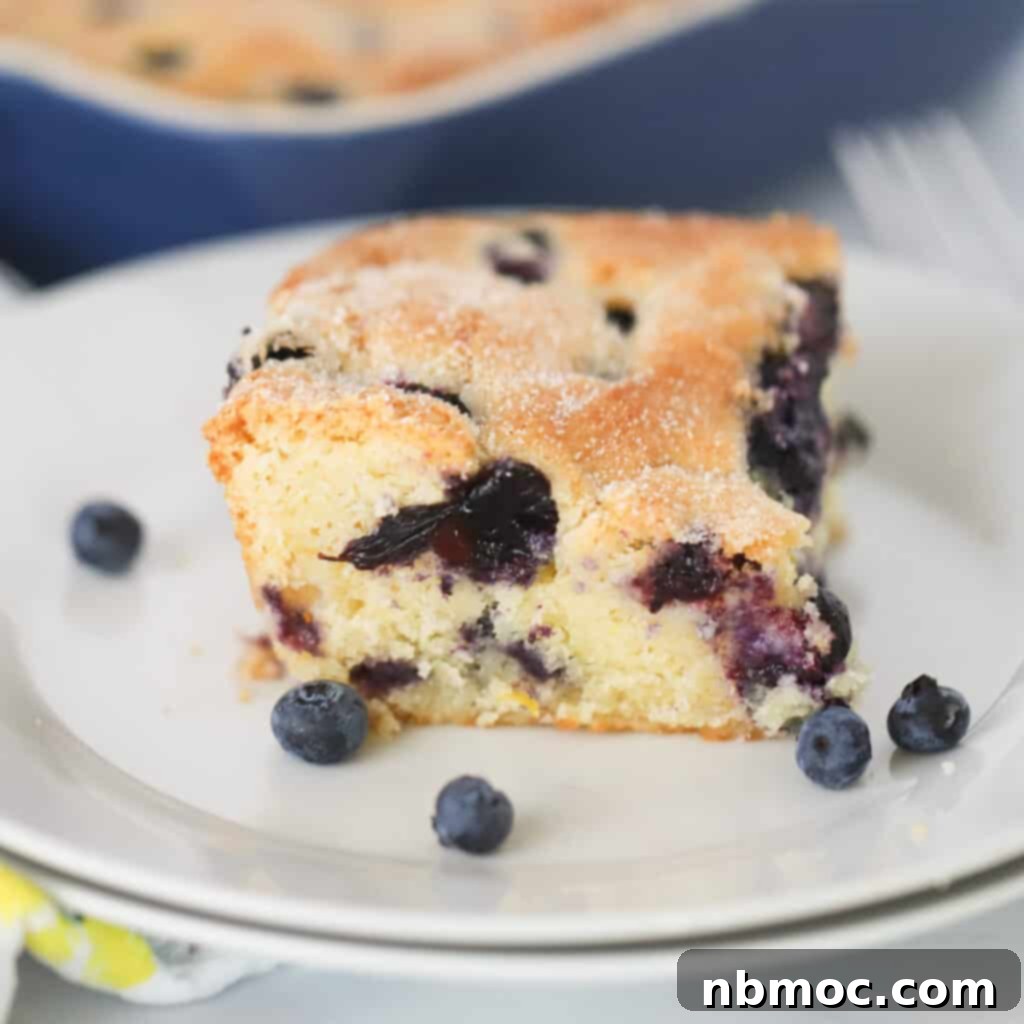 Zesty Lemon Treats 24 blueberry cake recipe for breakfast or brunch