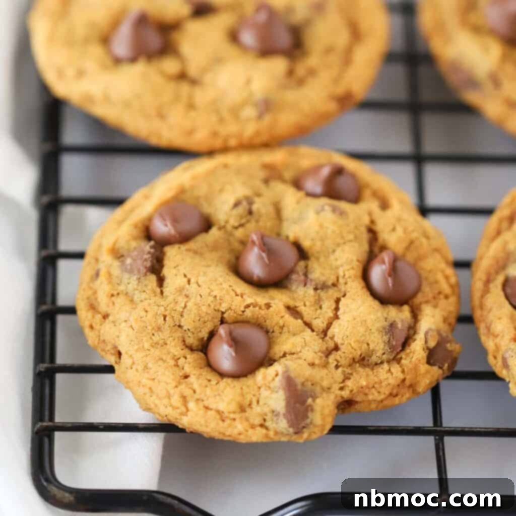 Irresistible Pumpkin Delights 11 pumpkin cookies with chocolate chips cooling on a wire rack.