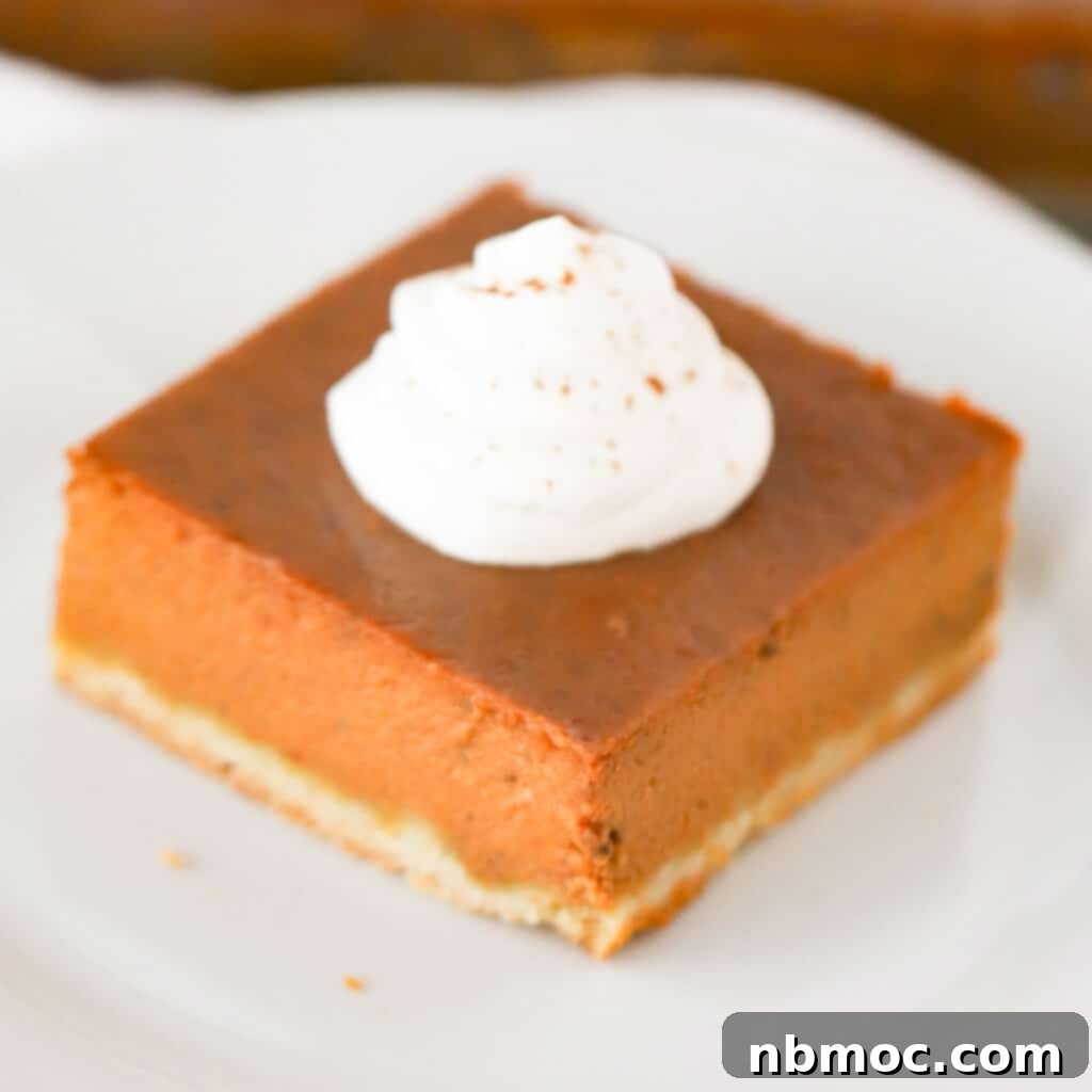 Irresistible Pumpkin Delights 15 pumpkin pie squares on a plate with whipped cream topping.