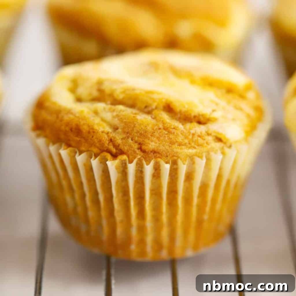 Irresistible Pumpkin Delights 20 pumpkin muffins with cheesecake swirl
