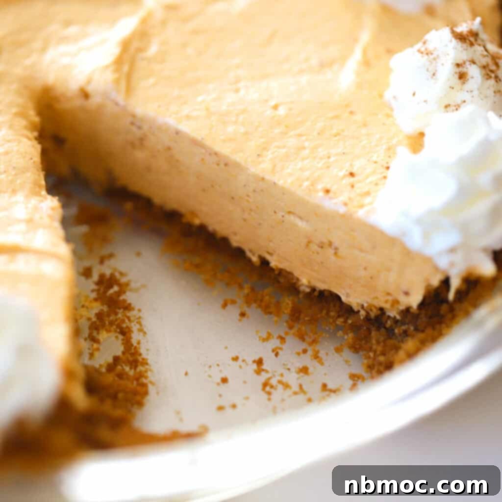 Irresistible Pumpkin Delights 3 easy no bake pumpkin cheesecake with a slice removed.