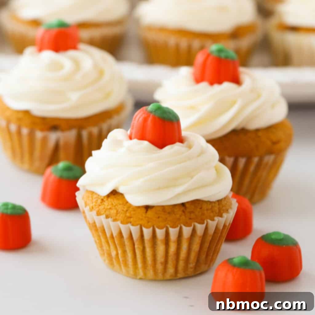 Irresistible Pumpkin Delights 6 Pumpkin cupcakes topped with frosting and pumpkin candies.