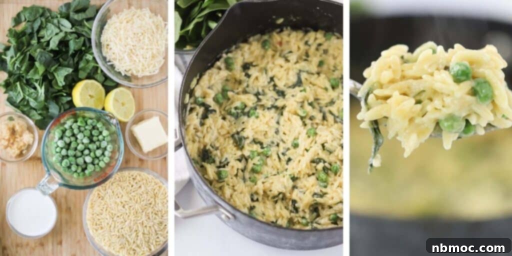 Zesty Lemon Orzo with Spring Peas 4 how to make orzo pasta with peas, one of the best orzo pasta recipes.