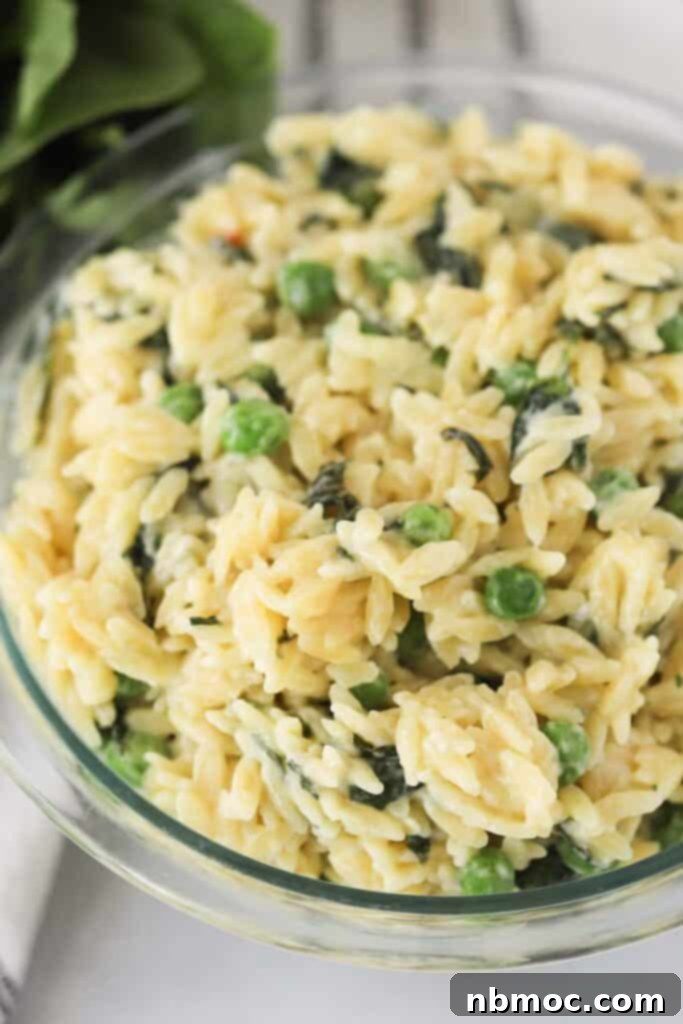 Zesty Lemon Orzo with Spring Peas 5 Creamy lemon orzo peas and parmesan, best orzo side recipes.