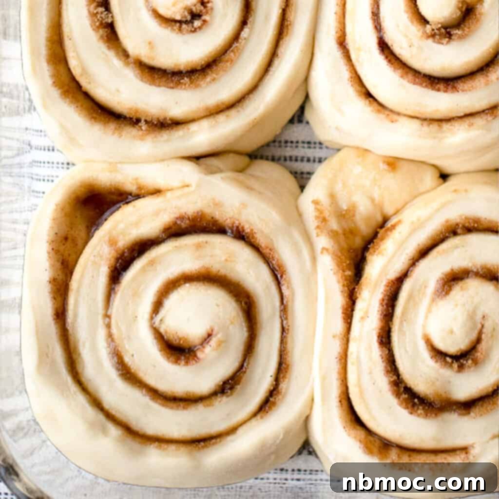 Delicious whole wheat cinnamon rolls rising beautifully in a baking dish, promising a soft and gooey texture.