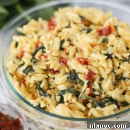 Creamy Tuscan Orzo 6 how to make tuscan orzo, sun dried tomato orzo recipe.
