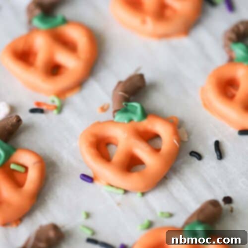 Spiced Pumpkin Pretzel Twists 6 Chocolate covered pumpkin pretzels, beautifully crafted and ready to serve, making them a perfect Halloween treat.