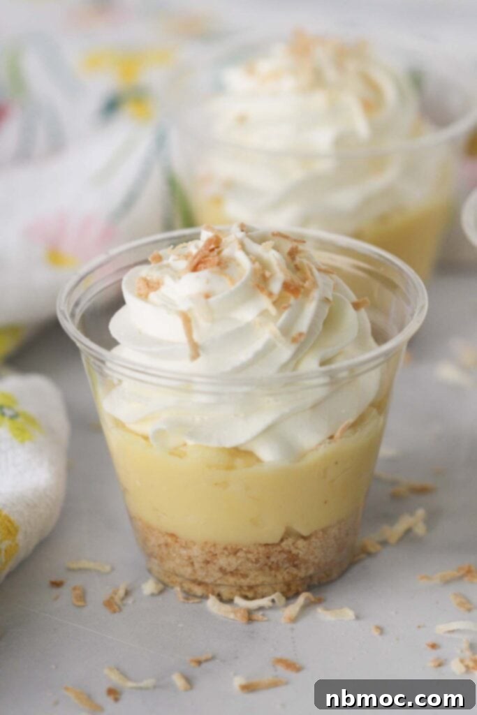 Best coconut cream dessert recipe, creamy coconut parfait in a glass, no-bake tropical treat, easy coconut cream pie parfait.