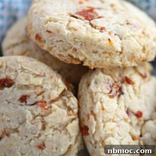These delicious sun-dried tomato and parmesan biscuits are a tasty and flaky biscuit the whole family will love!