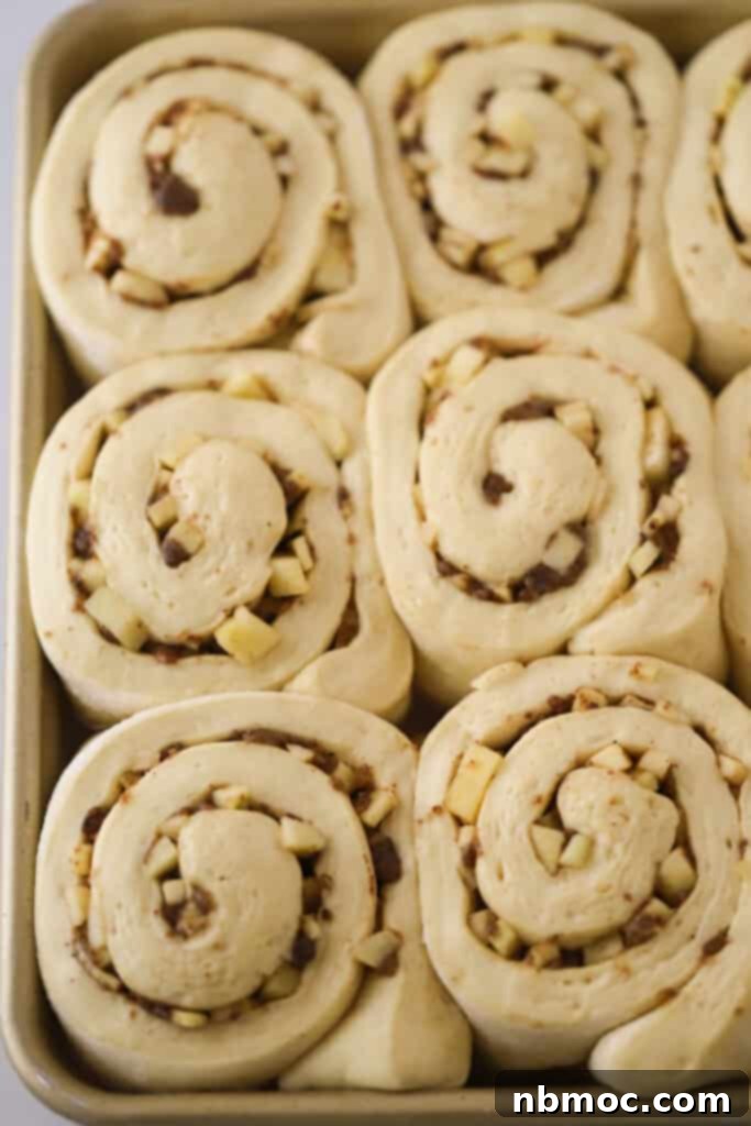 Homemade cinnamon rolls filled with caramel apple cinnamon roll filling, risen and ready to bake.
