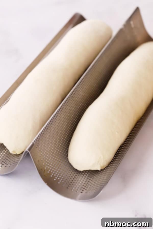 French Bread Dough in French Bread pan.