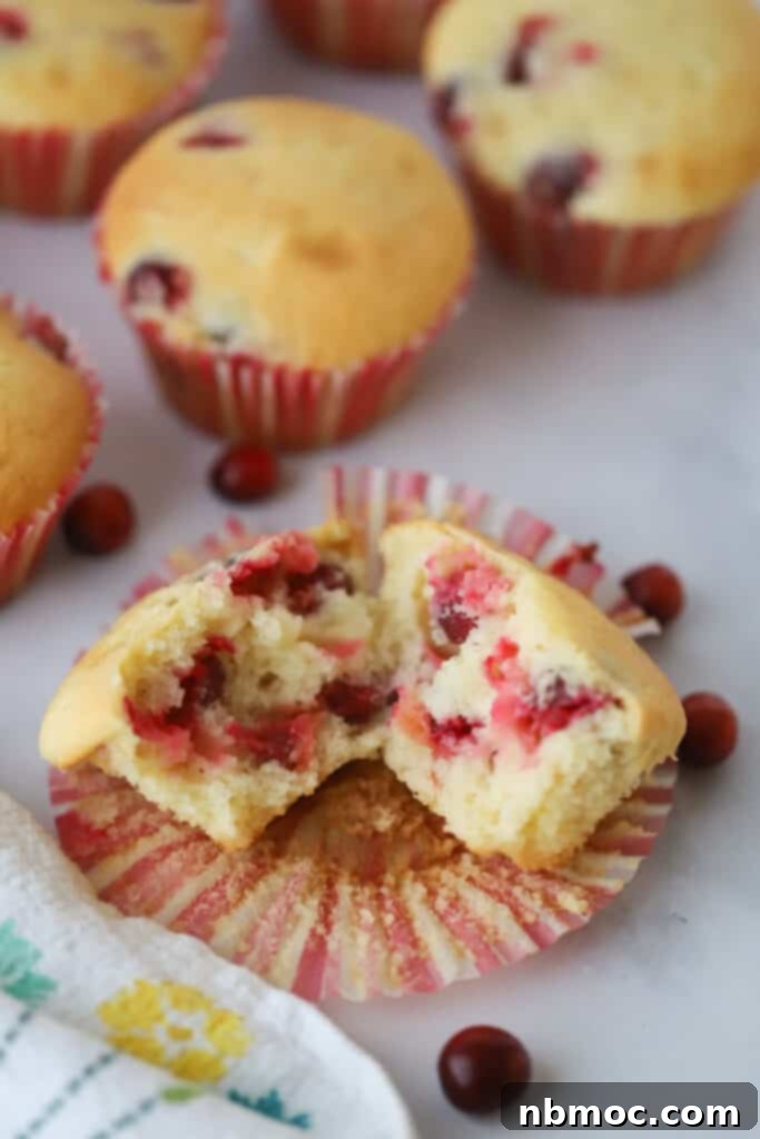 Buttery and moist fresh cranberry muffins with orange flavor. These are the best orange cranberry muffins.
