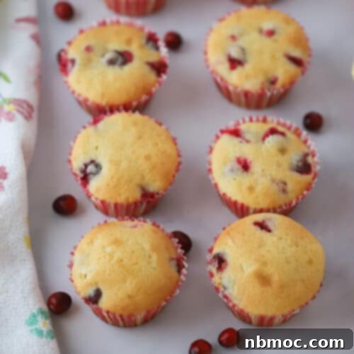 Cranberry muffins