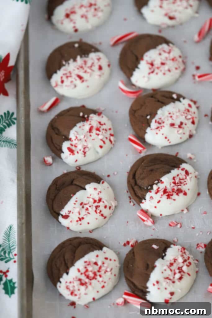 A baking sheet full of decadent chocolate peppermint cookies, perfectly dipped in white chocolate and sprinkled with crushed candy canes. An essential chocolate Christmas cookie.