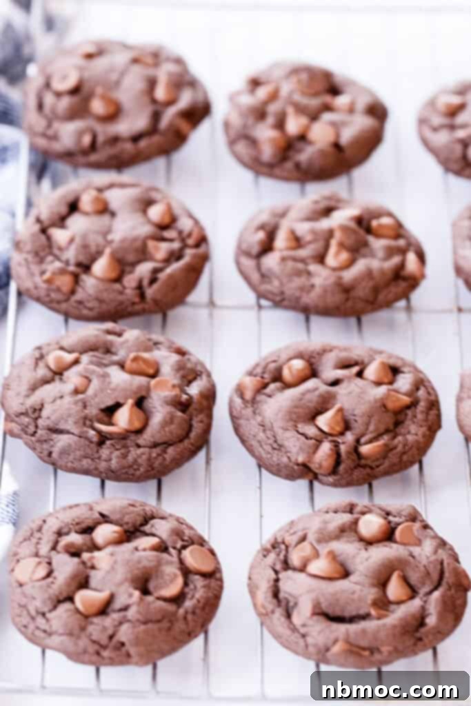 Freshly baked homemade chocolate cake mix cookies with visible chocolate chips cooling gently on a baking sheet, steam still rising slightly.