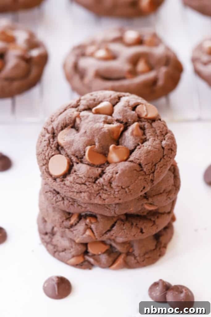 A stack of delightful chocolate cake cookies, fresh out of the oven, showcasing how quick and easy it is to make this chocolate chip cookie recipe using a simple cake mix.