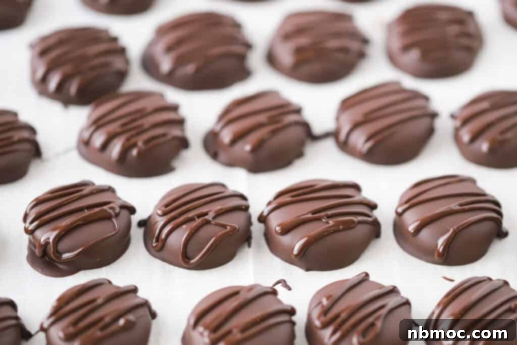 A baking tray filled with perfectly chocolate-covered Peppermint Patty Candies, garnished and ready to serve or store.