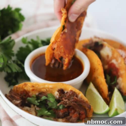 Easy Birria Tacos Recipe - Slow Cooker Version