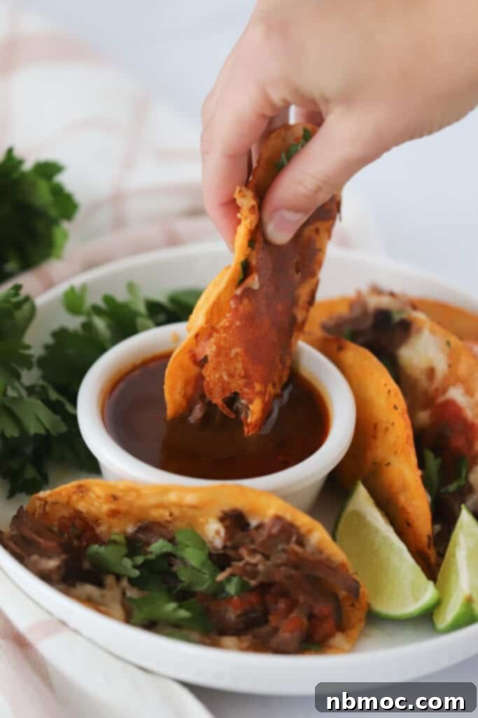 A hand dipping a birria taco into chipotle sauce.