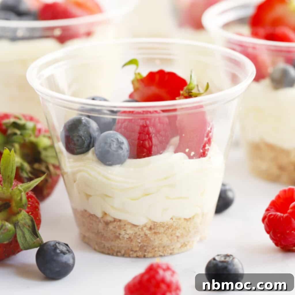 Mini cheesecake recipe for a Taylor Swift themed birthday party.