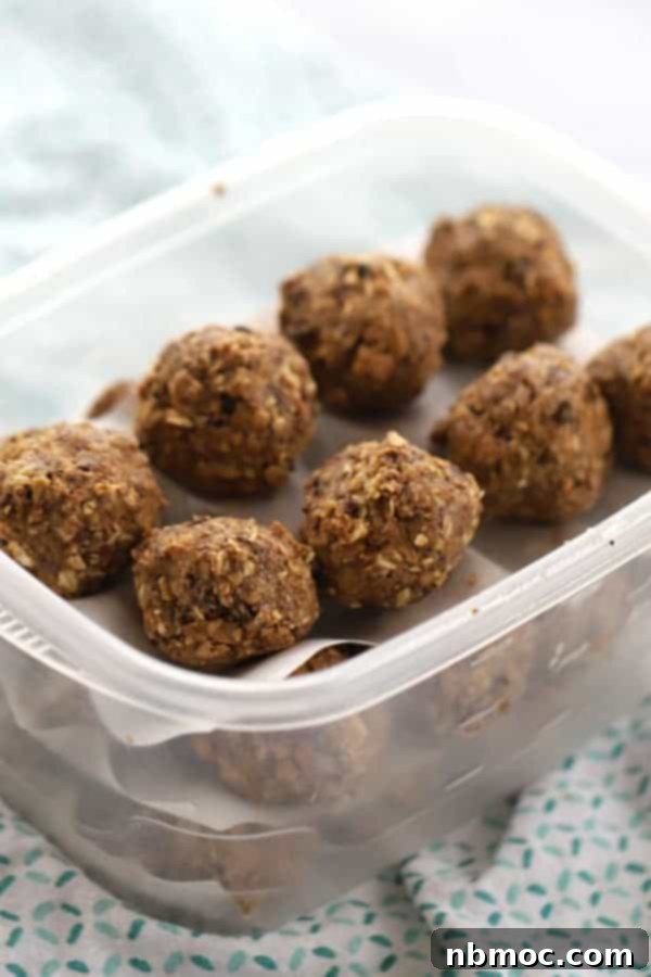 Power-Packed Triple Chocolate Oat Bites 2 Chocolate energy balls with peanut butter and oatmeal in a tupperware container.