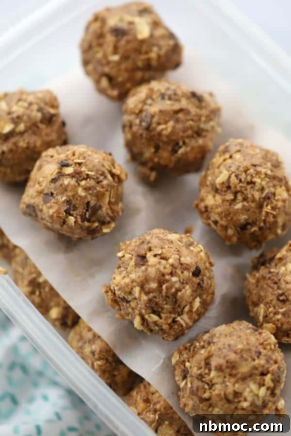 Power-Packed Triple Chocolate Oat Bites 5 Chocolate chip oatmeal balls in a tupperware container.