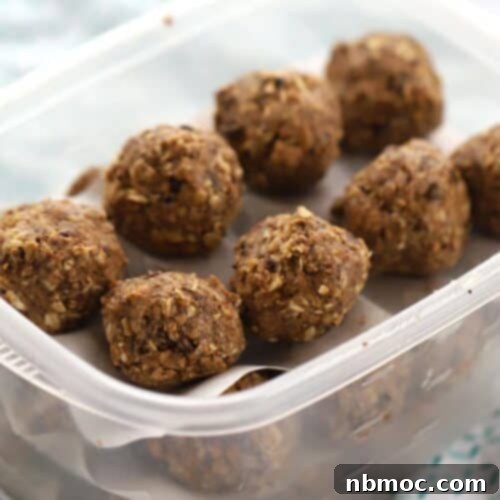Power-Packed Triple Chocolate Oat Bites 6 Power balls in a tupperware container