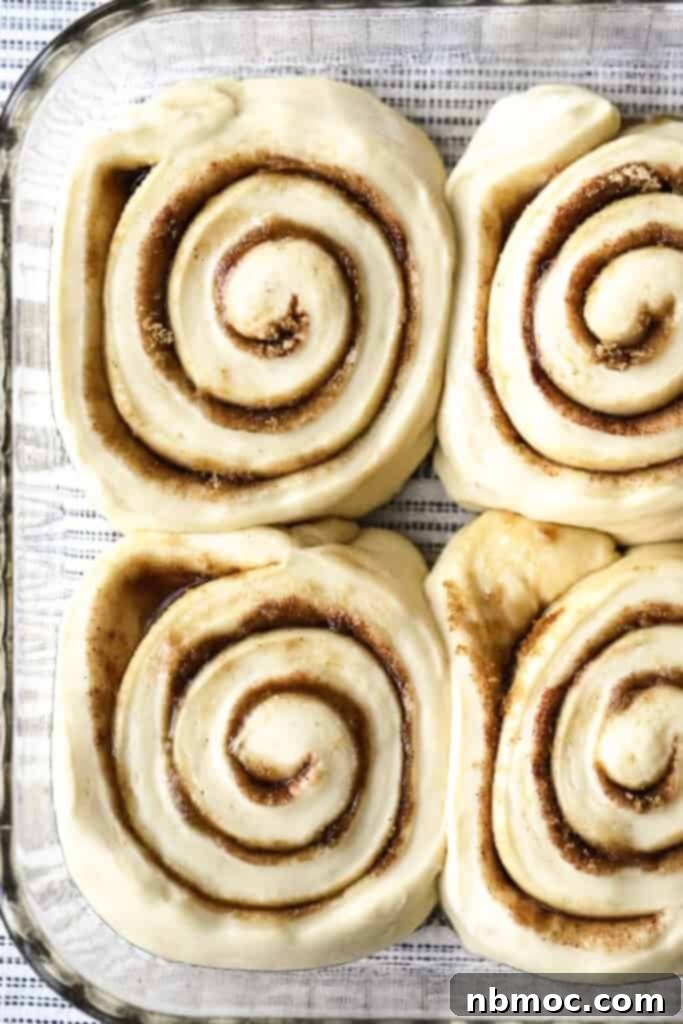 Mastering the Art of Yeast Bread 5 Cinnamon rolls rising in a baking dish.