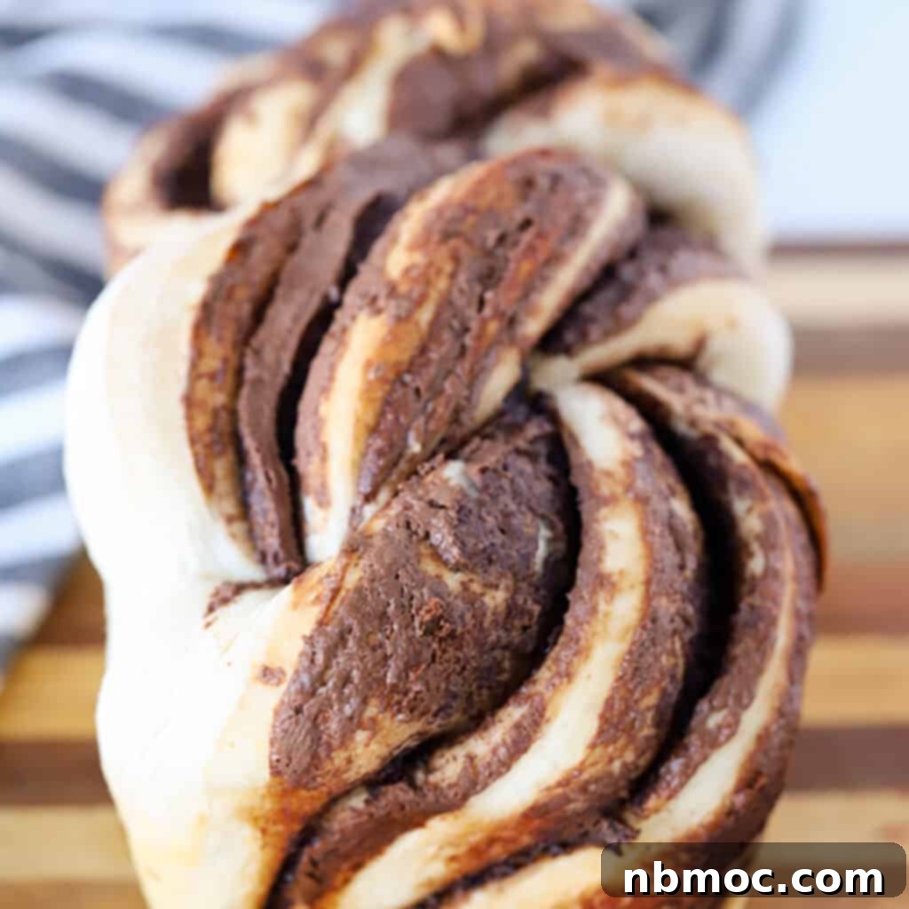 Mastering the Art of Yeast Bread 6 nutella twist bread recipe