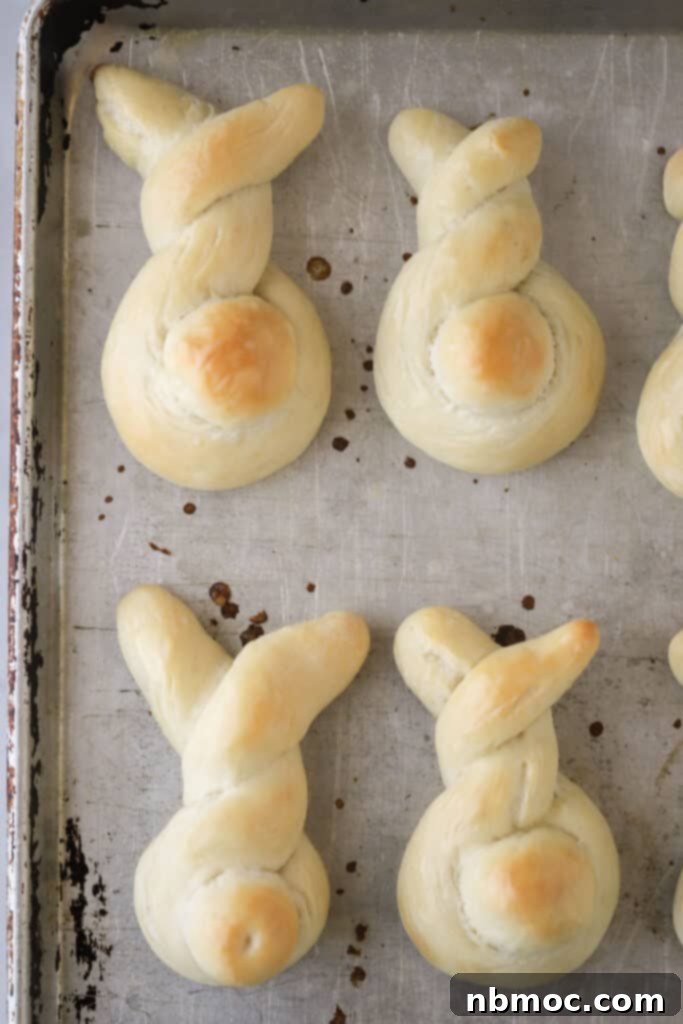 Fluffy Bunny Buns 5 Freshly baked Easter bunny rolls on a baking sheet, golden brown and ready to serve.