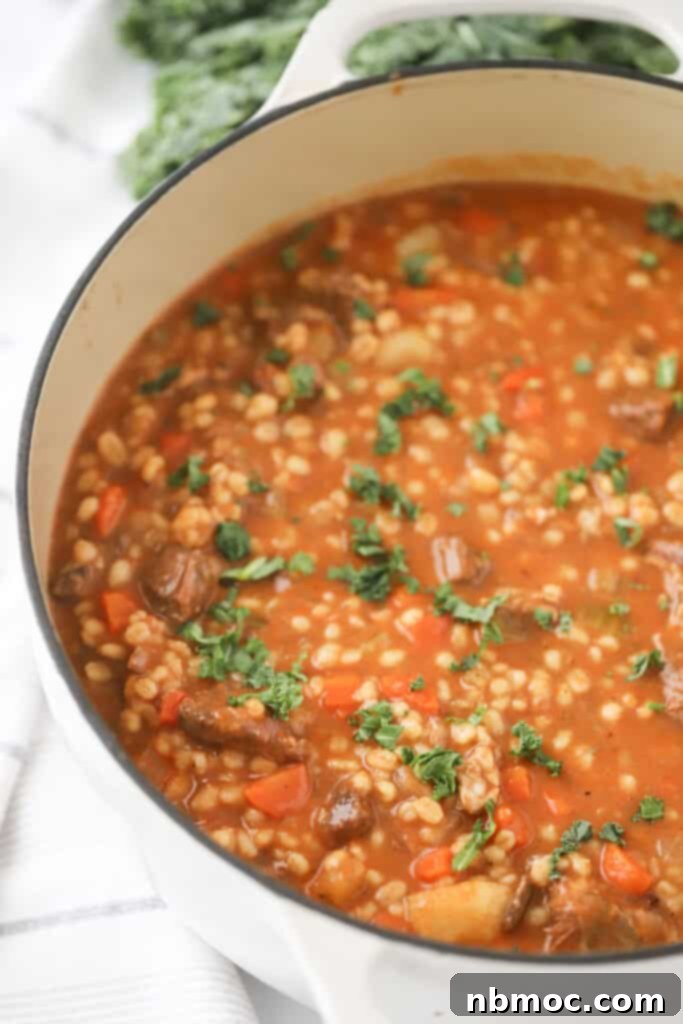 The best beef and barley soup in a large dutch oven pot, ready to be served.