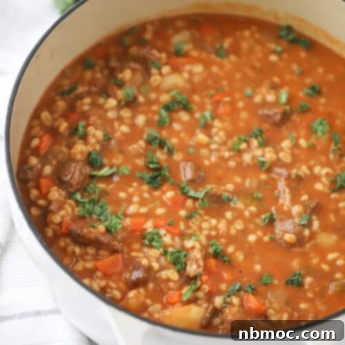 How to make beef and barley soup recipe