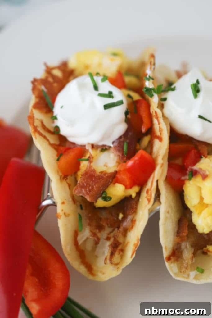 A breakfast taco filled with scrambled eggs, bacon, peppers, and topped with sour cream and chives all in a corn tortilla.