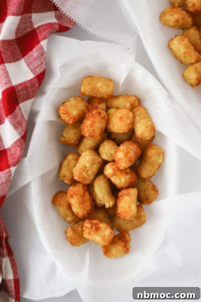 A basket of tater tots cooked and ready to make this totchos recipe.