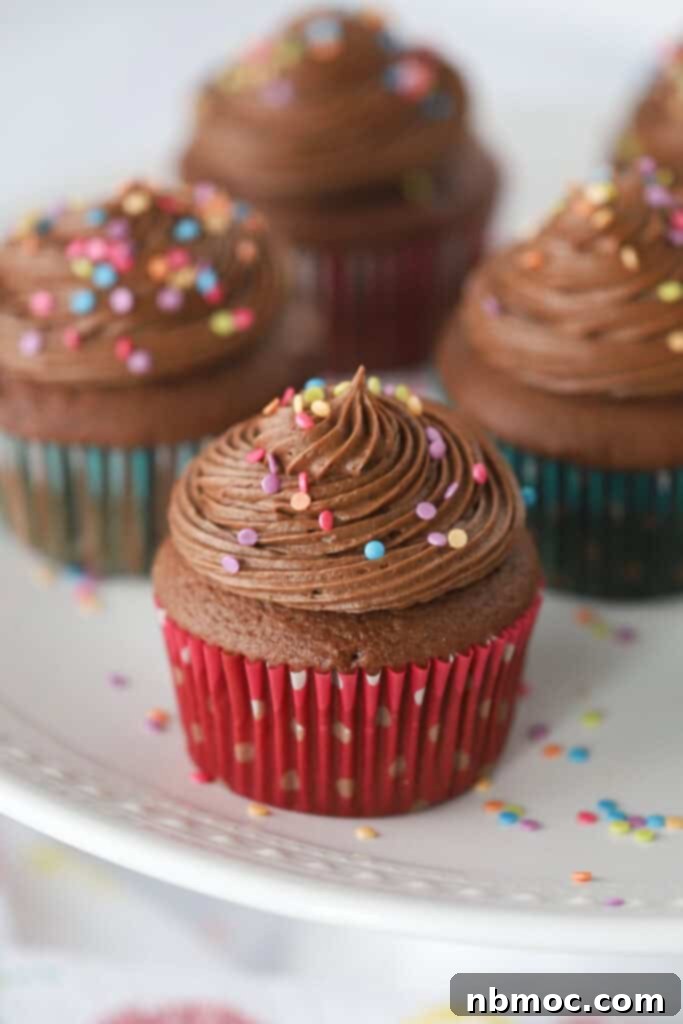 Luscious Chocolate Cream Cheese Frosting 2 Chocolate cupcakes topped with luscious chocolate cream cheese frosting and colorful sprinkles, ready for a celebration.