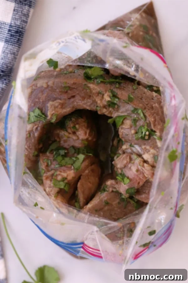 Sizzling Steak Fajitas 2 steak fajita marinade in a bag, best meat for beef fajitas recipe.marinade for steak fajitas, marinated beef fajitas. best steak for fajitas