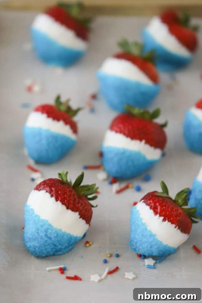 Red white and blue strawberries arranged neatly on a tray, cooling and setting after being dipped and decorated.