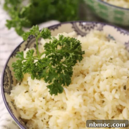 Buttery Garlic Parmesan Rice 4 Garlic Parmesan Rice Recipe