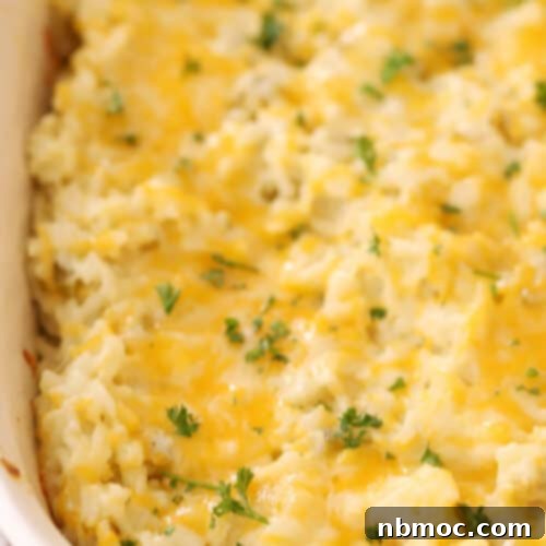 Creamy Green Chile Rice Bake 5 Cheesy Green Chili Rice Casserole