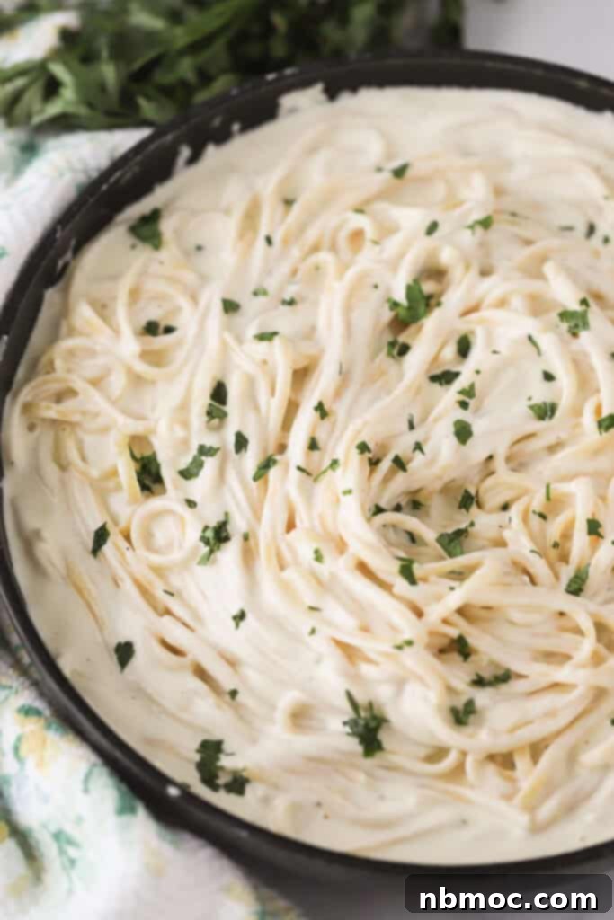 Fettuccine pasta in a pan covered with asiago cream sauce.