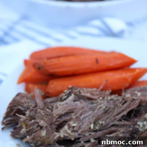 A delicious venison roast with cooked carrots on a white plate, ready to be served.