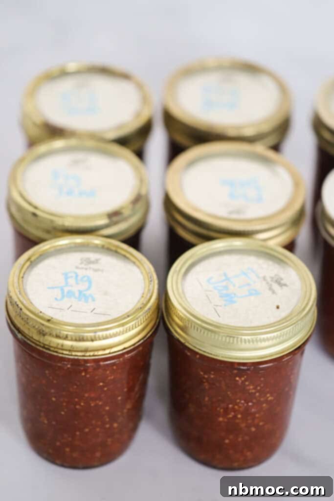 Jars of fig jam lined up, sealed, and ready to store.