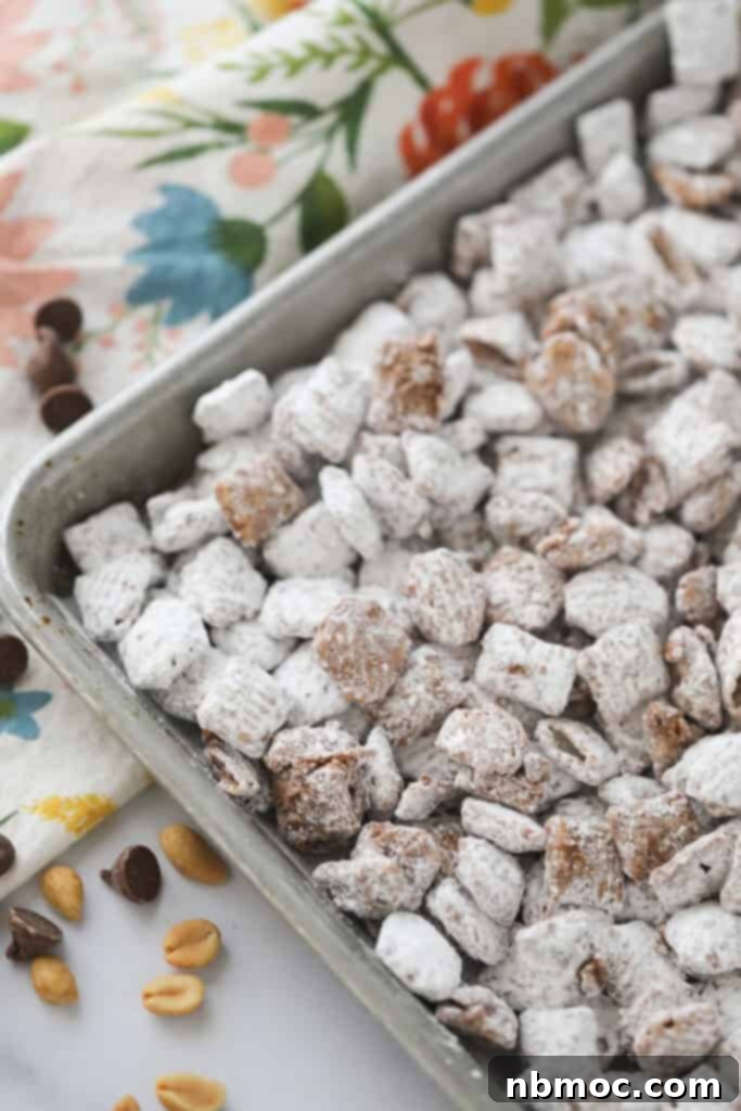 A baking sheet full of chocolate and peanut butter muddy buddies, coated in powdered sugar.