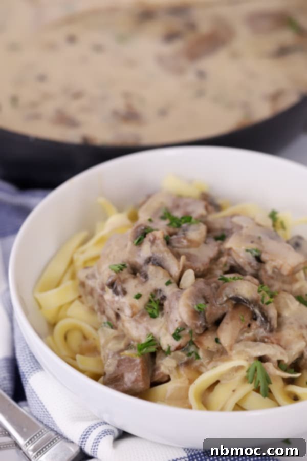 A bowl of traditional beef stroganoff served over egg noodles, a classic stroganoff recipe.