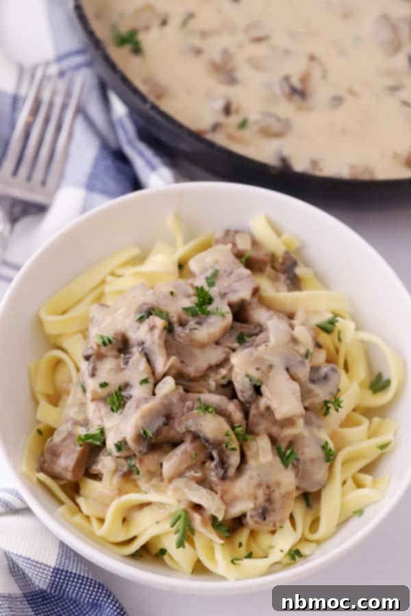 beef stroganoff in a white bowl served over egg noodles.
