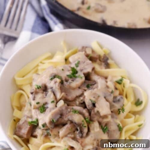 beef stroganoff in a white bowl