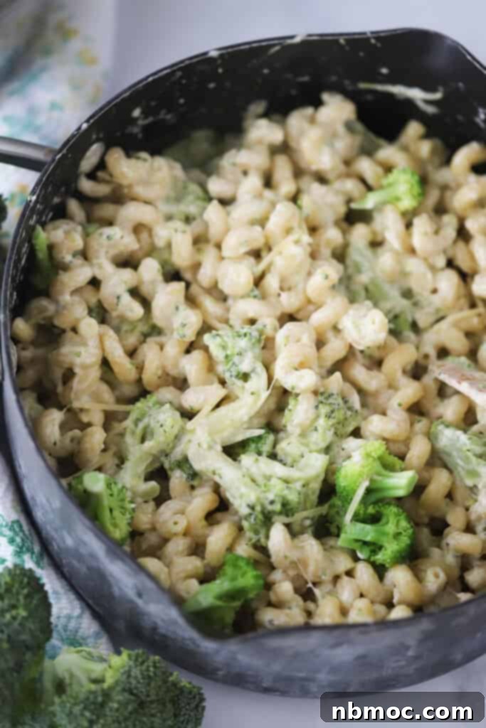 A saute pan full of pasta and broccoli with a creamy sauce, ready to be served.